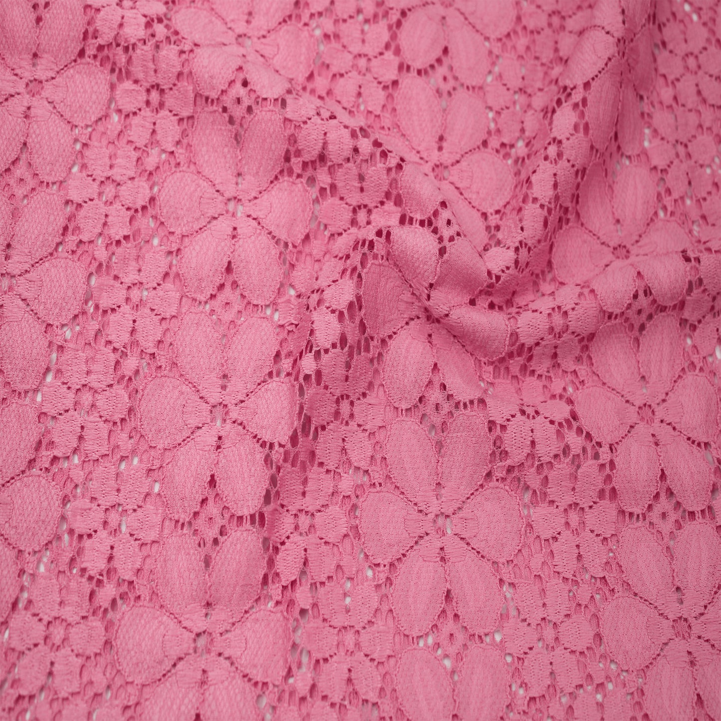 584-CORAL-DK-2