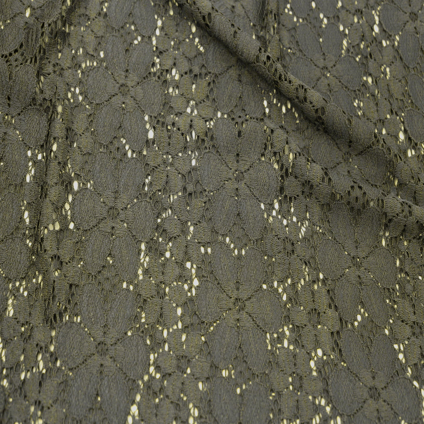 584-OLIVE-2