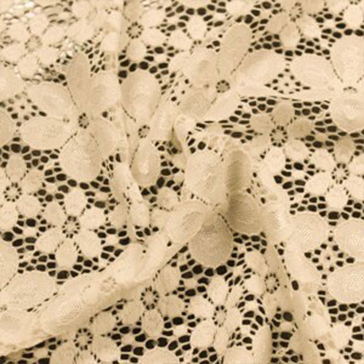 584-TAN-2