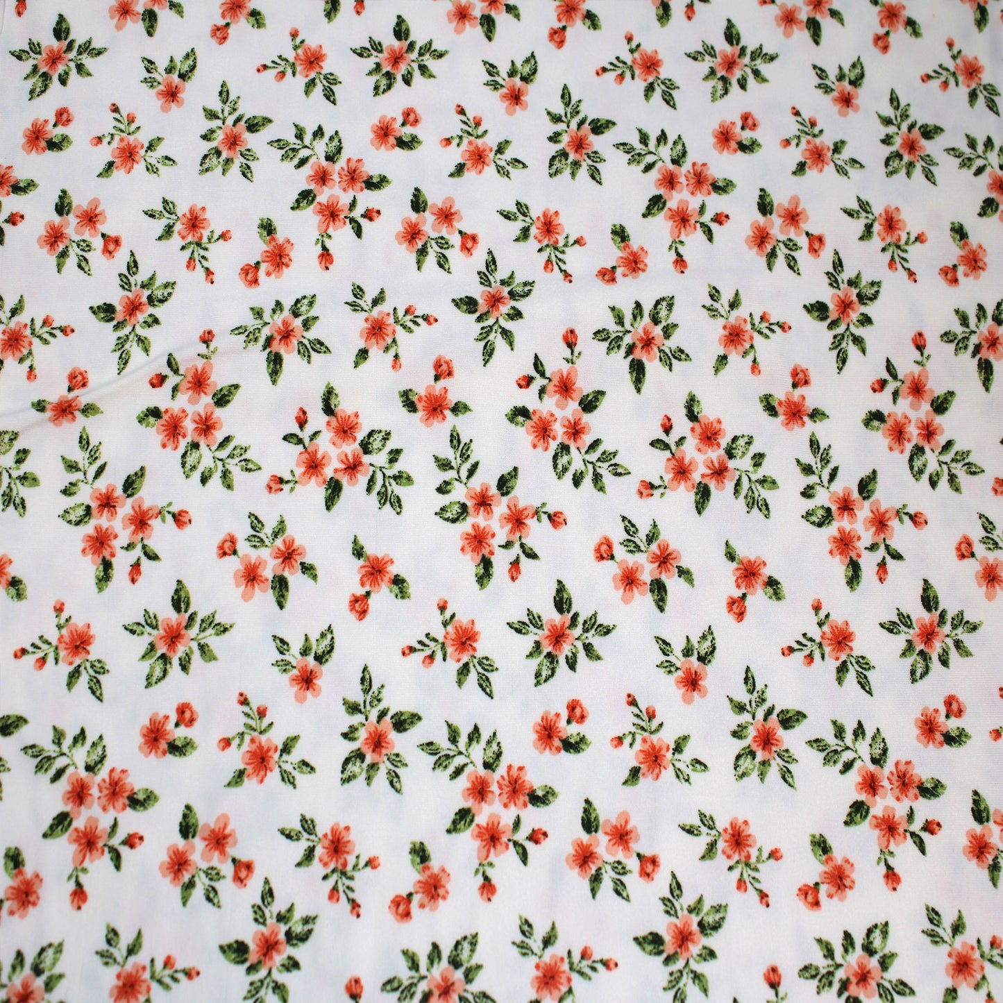 P-1701-668-OFFWHITE-PEACH - PRINTED DTY 92% POLY 8% SPANDEX DTY DOUBLE SIDED BRUSH