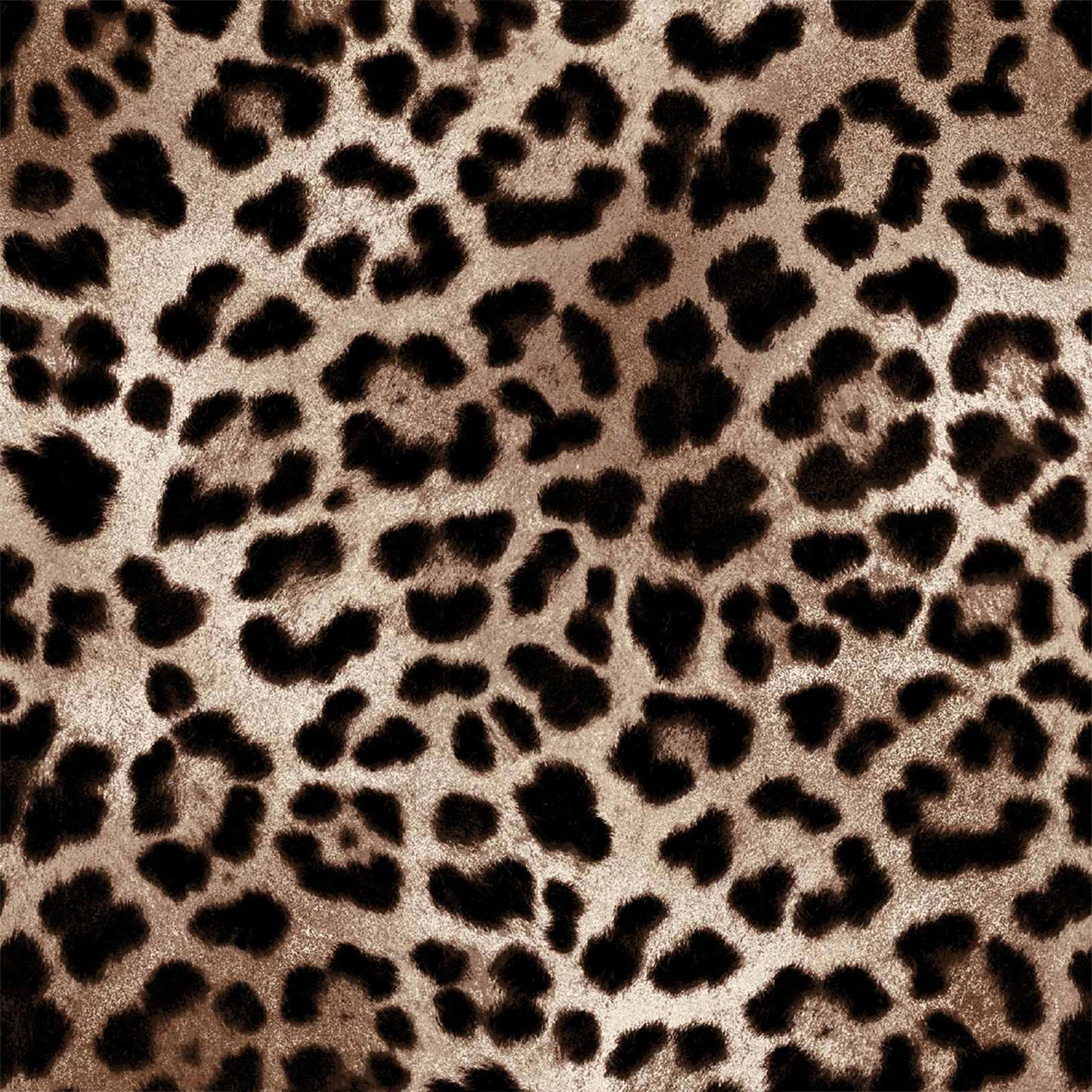 P-801-772-BLACK-CHOCO - 95% POLY 5% SPANDEX VELVET BURNT-OUT RIB