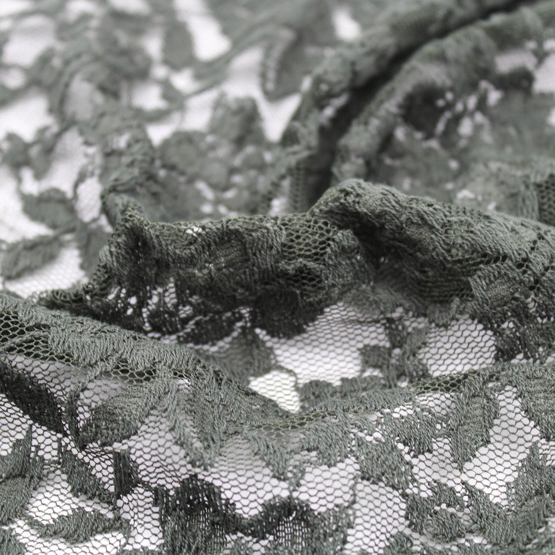 282-OLIVE-3