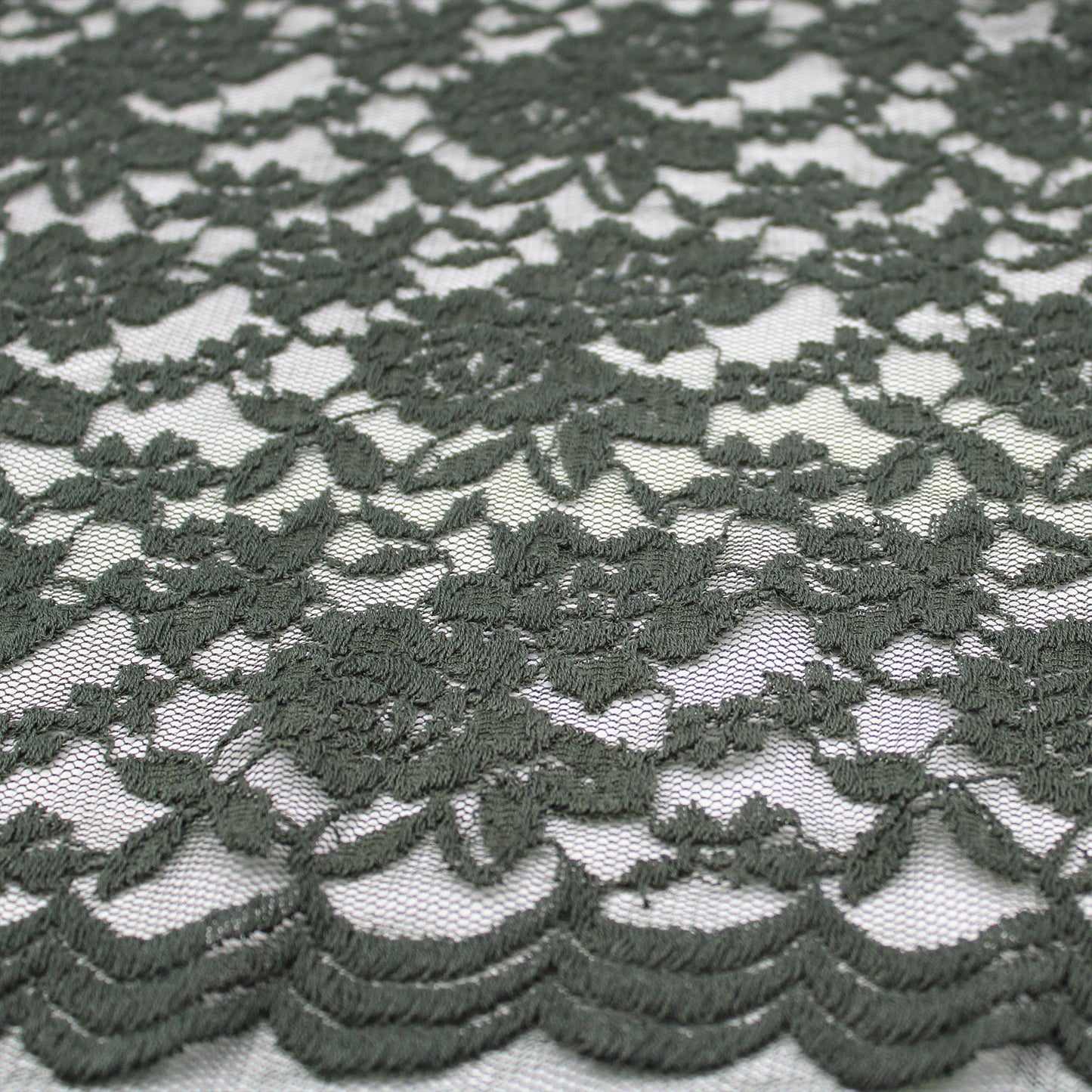282-OLIVE-3