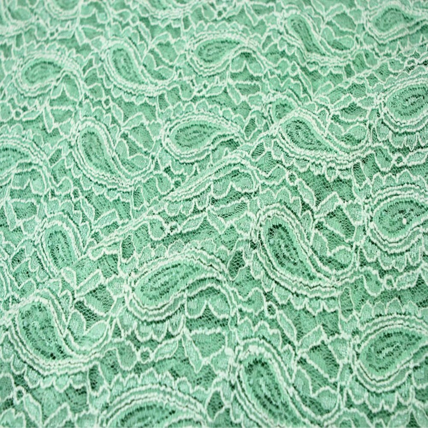 310-LACE 51% NYLON 43% RAYON 6% SPANDEX