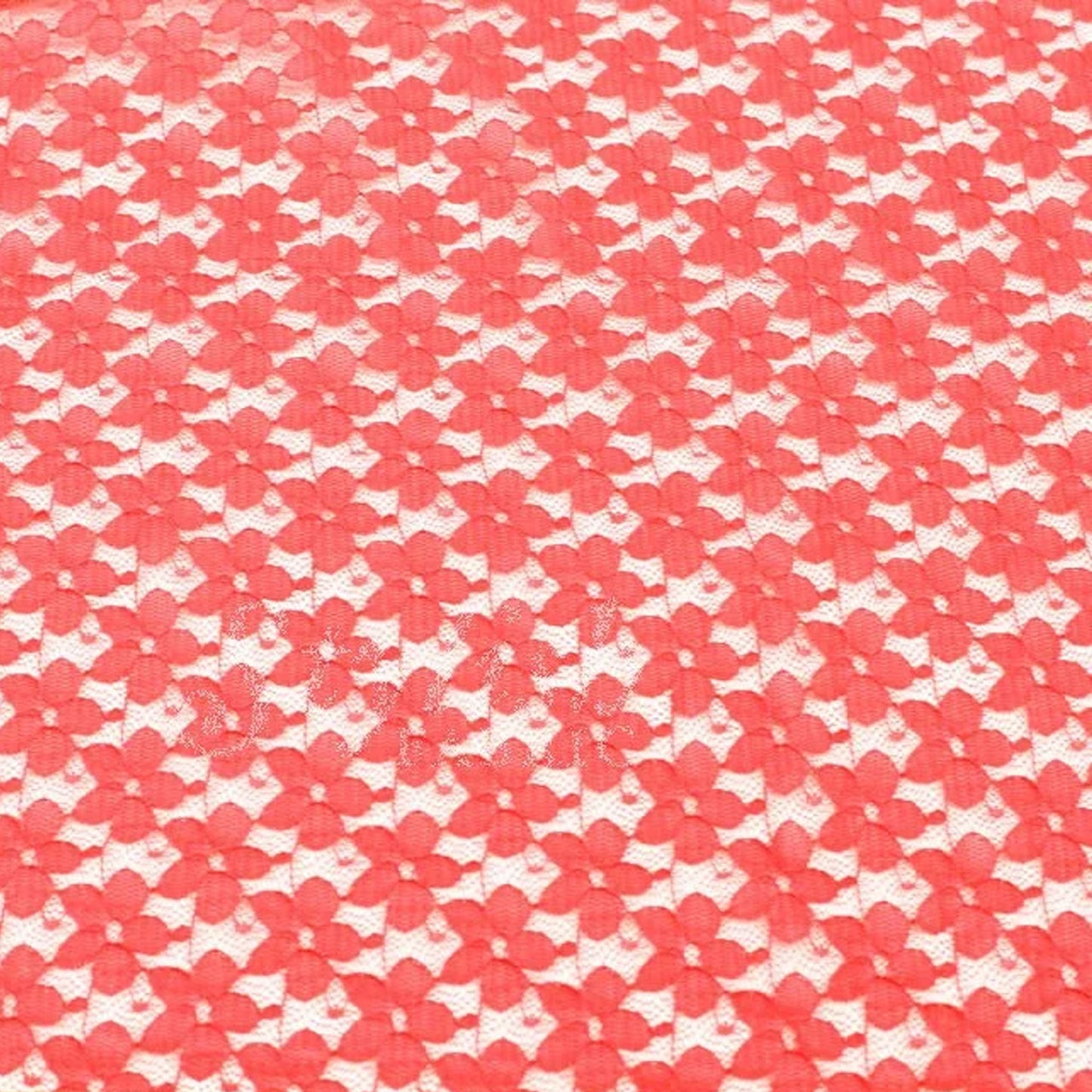 352-CORAL-2