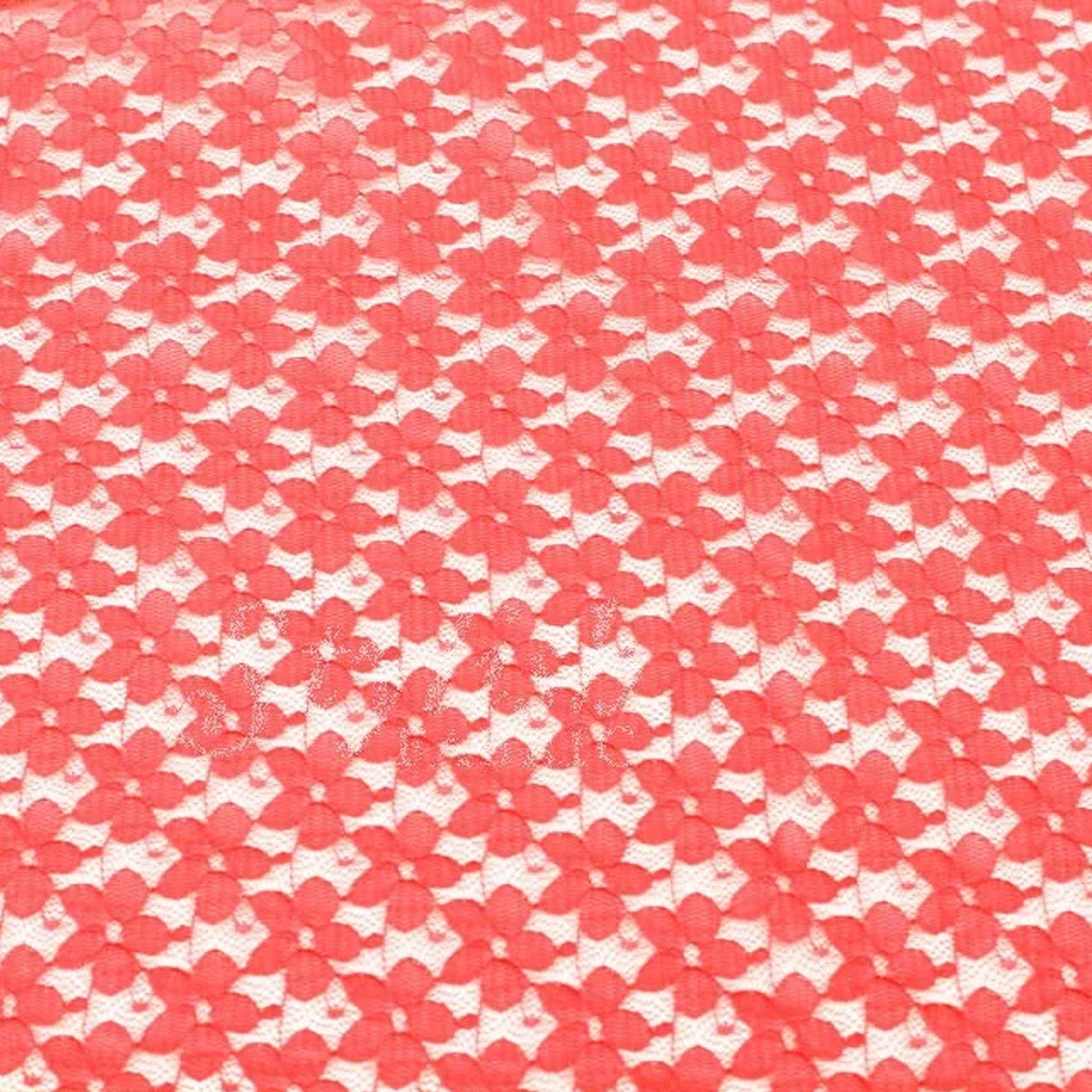 352-CORAL-2