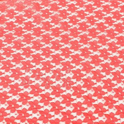 352-CORAL-2