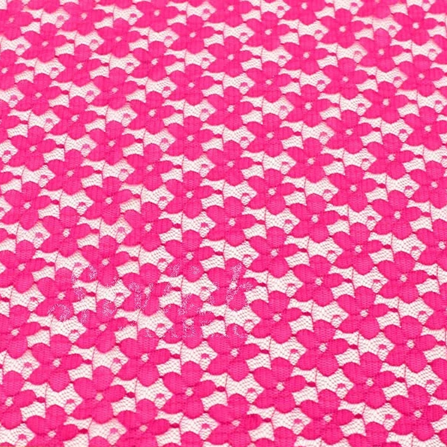 352-FUSCHIA-2
