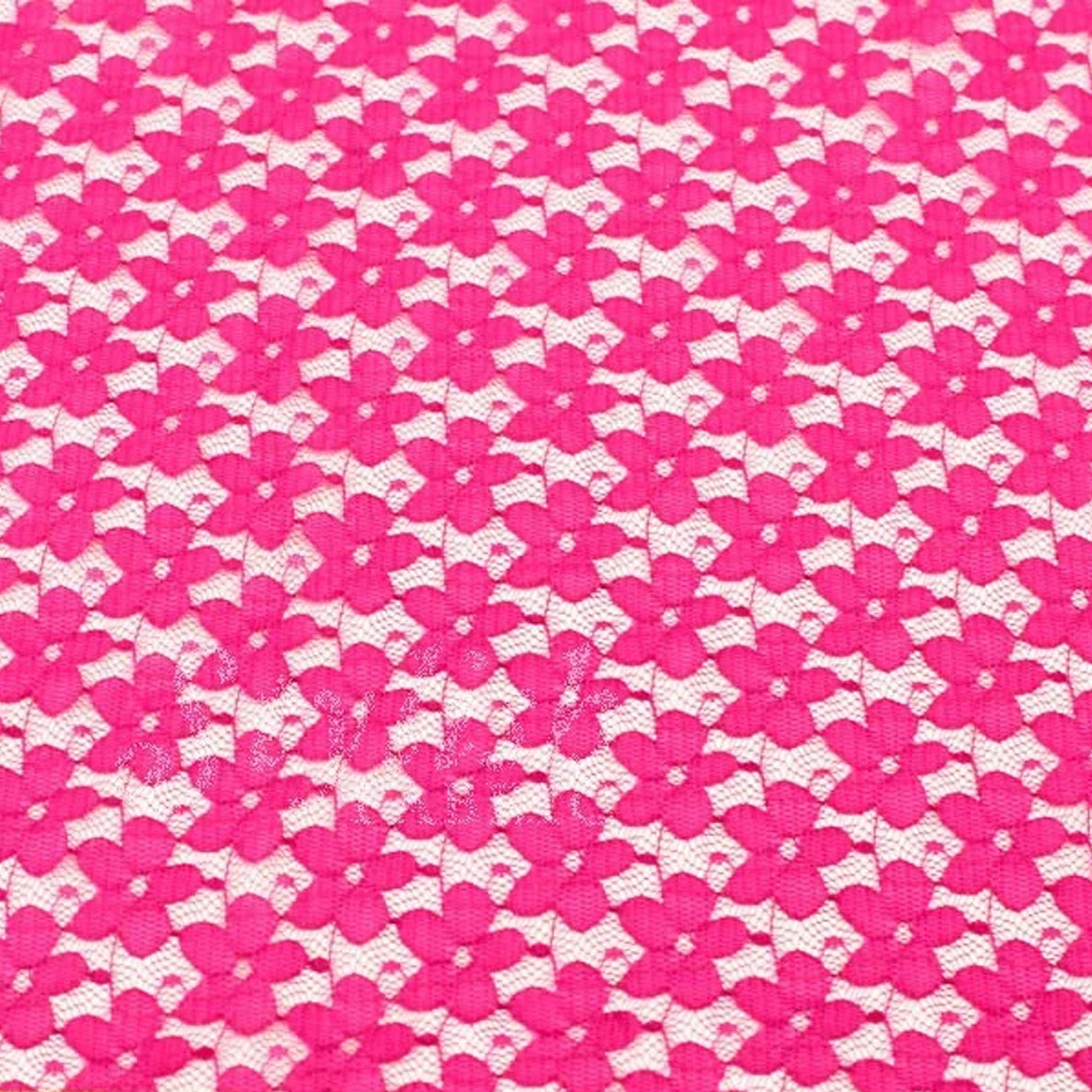 352-FUSCHIA-2