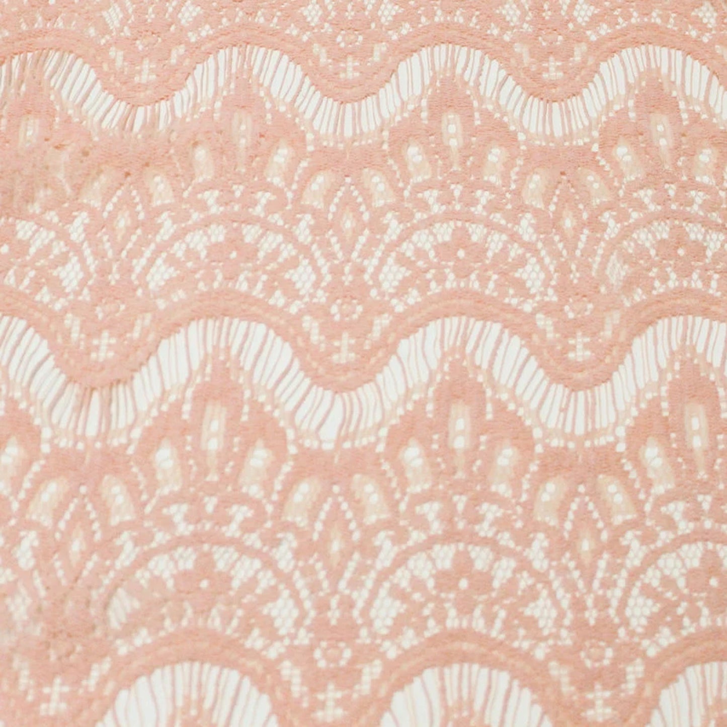 379-CORAL-LT-3