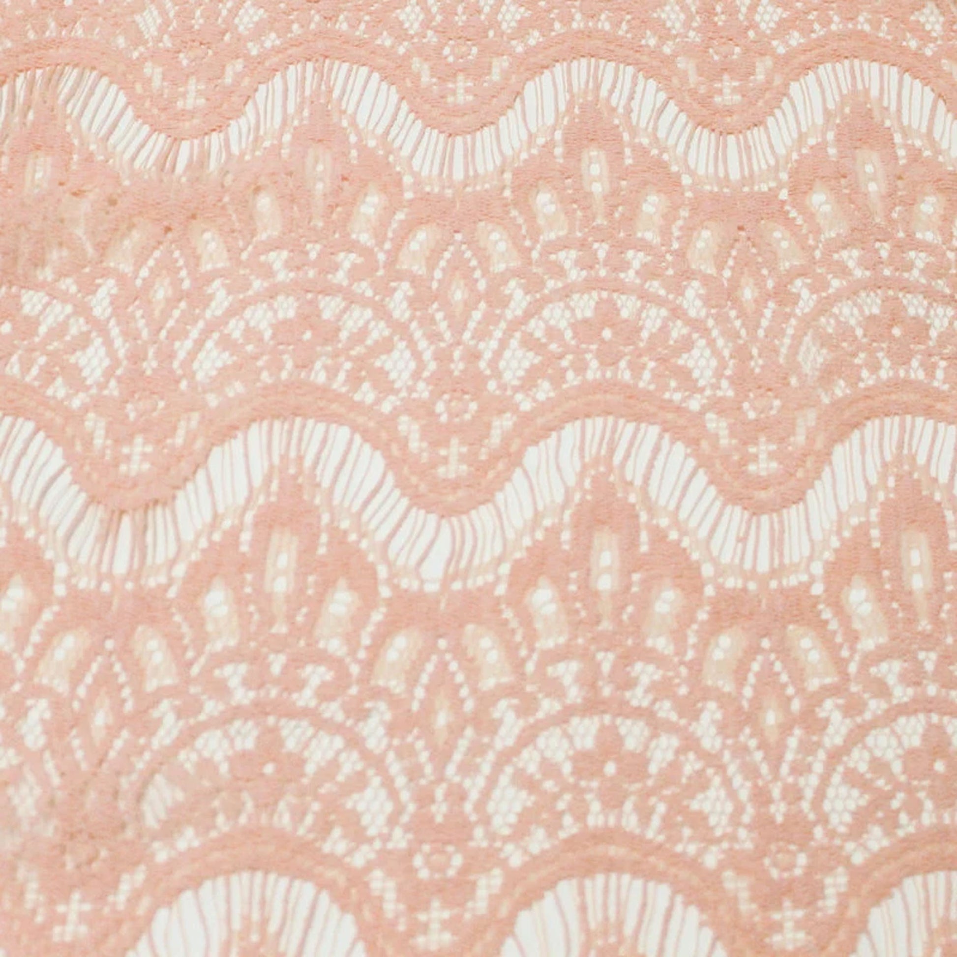 379-CORAL-LT-3