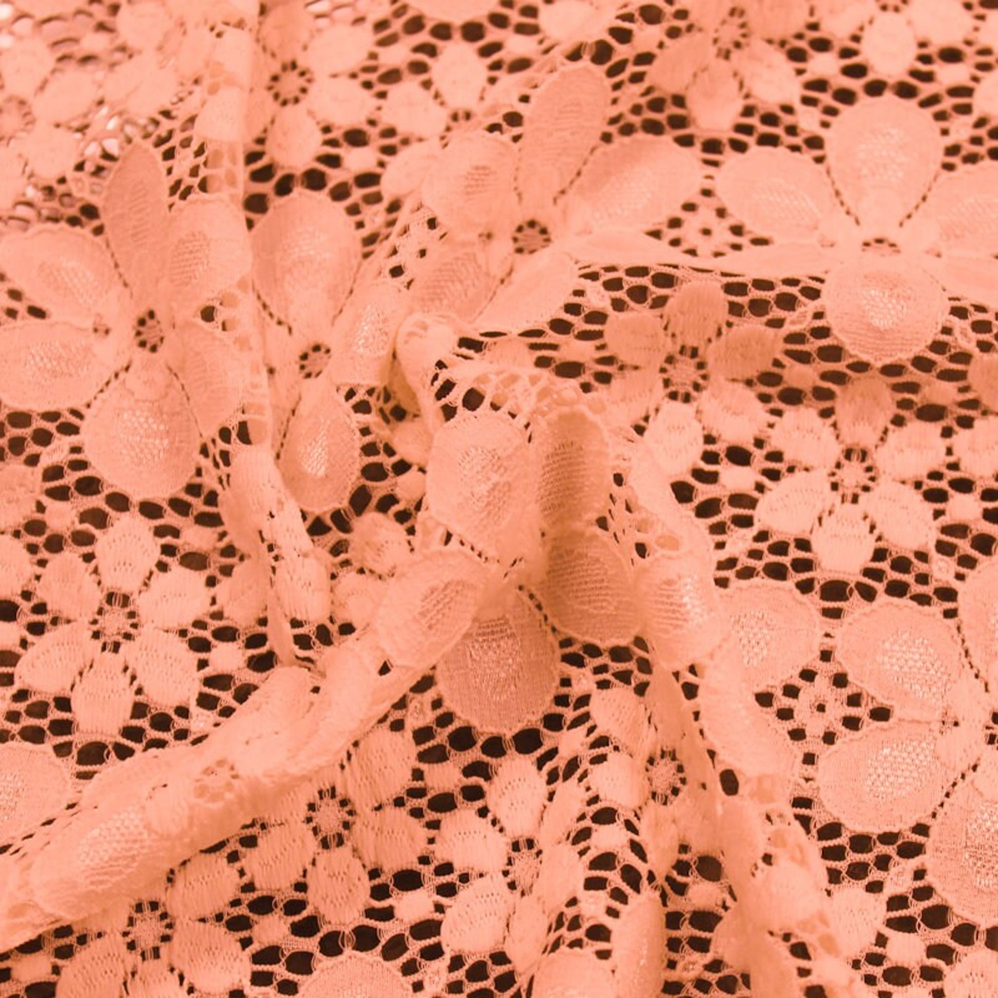 584-CORAL-LT-2