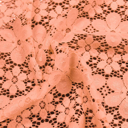 584-CORAL-LT-2