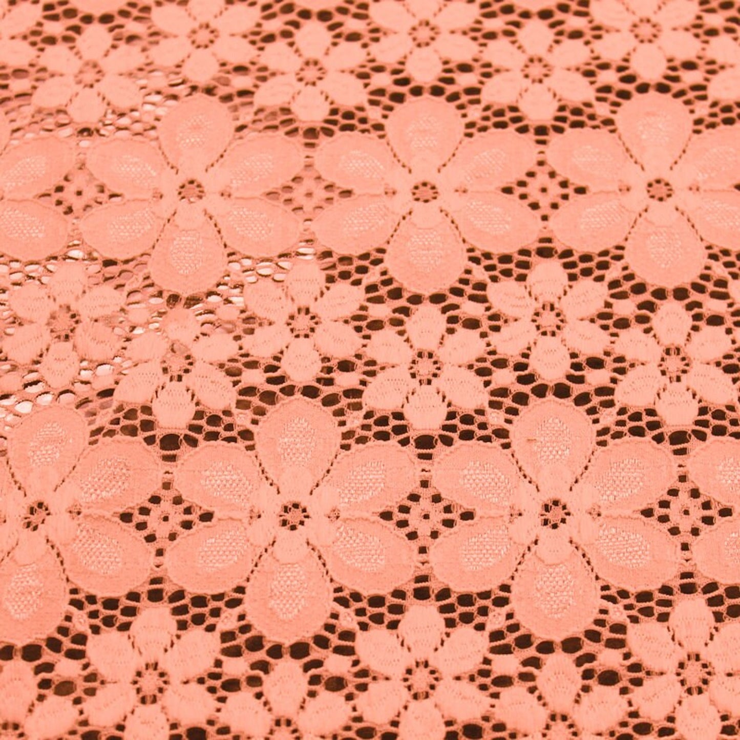 584-CORAL-LT-2