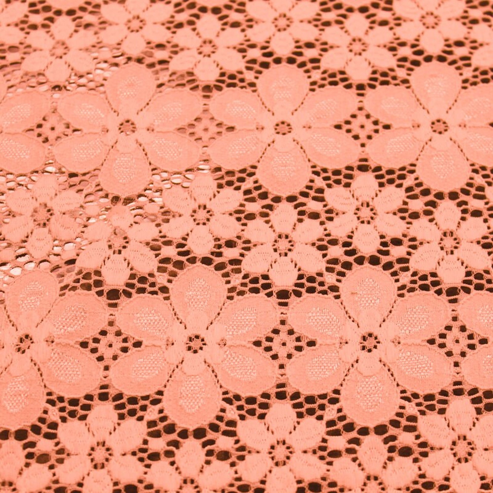 584-CORAL-LT-2