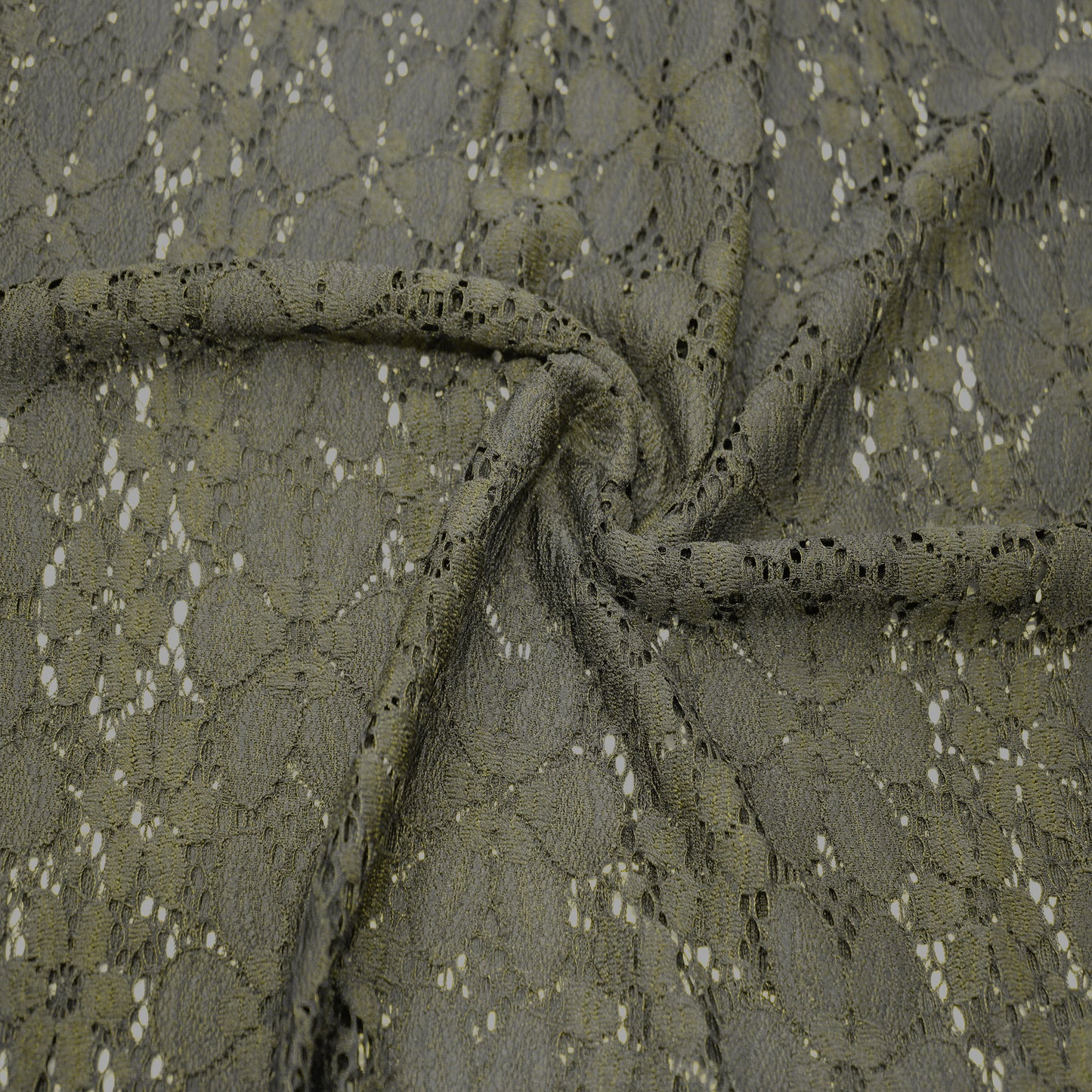584-OLIVE-2