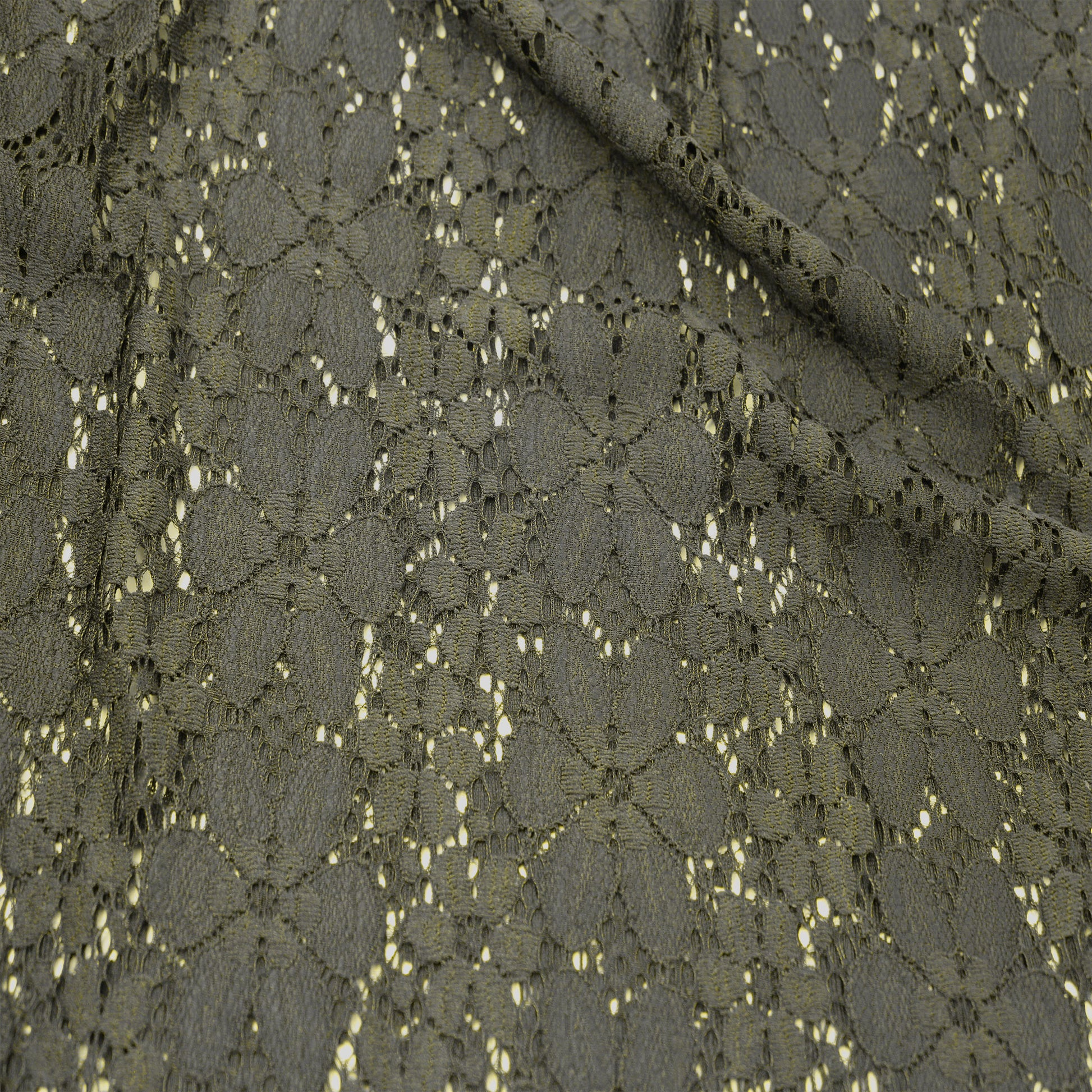 584-OLIVE-2