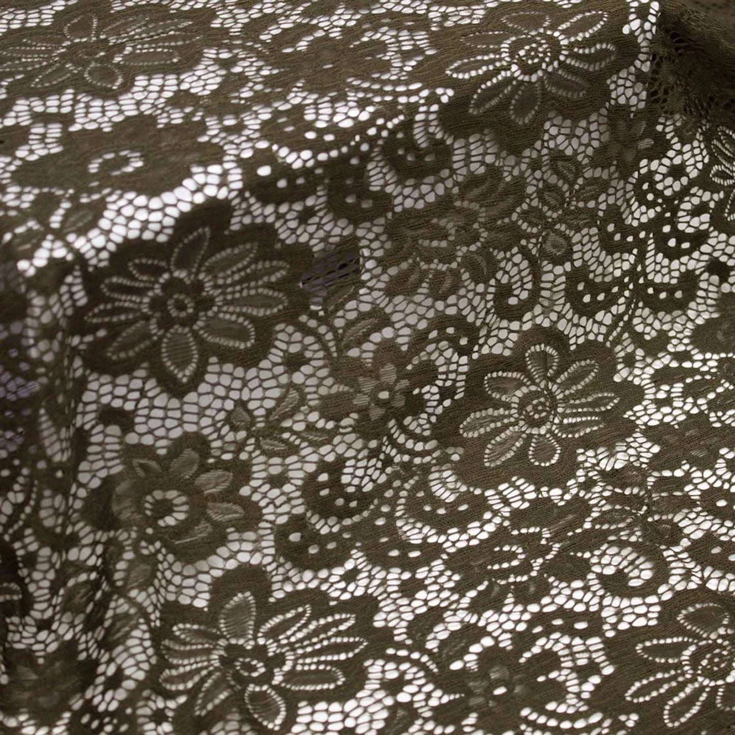 585-OLIVE-1