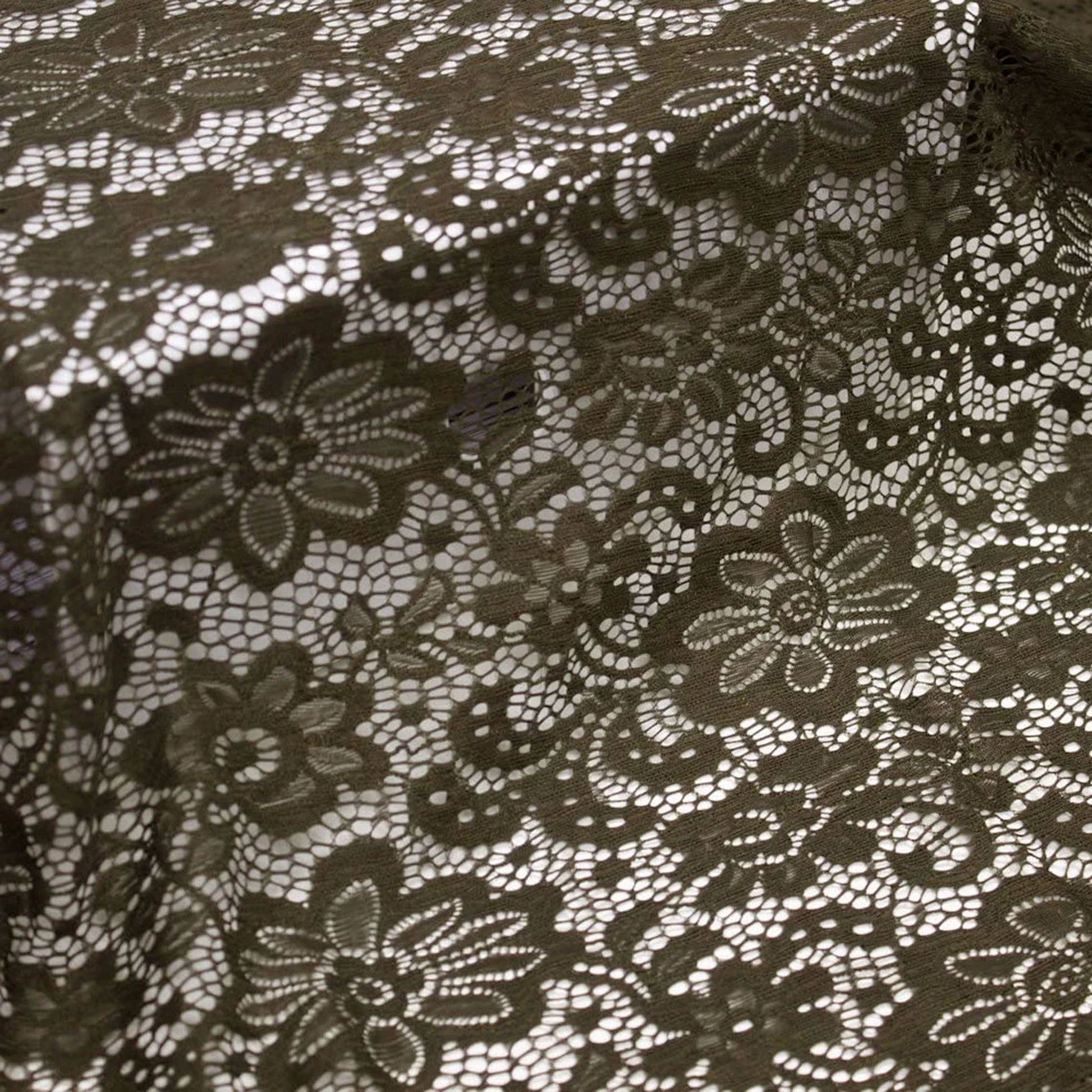 585-OLIVE-1
