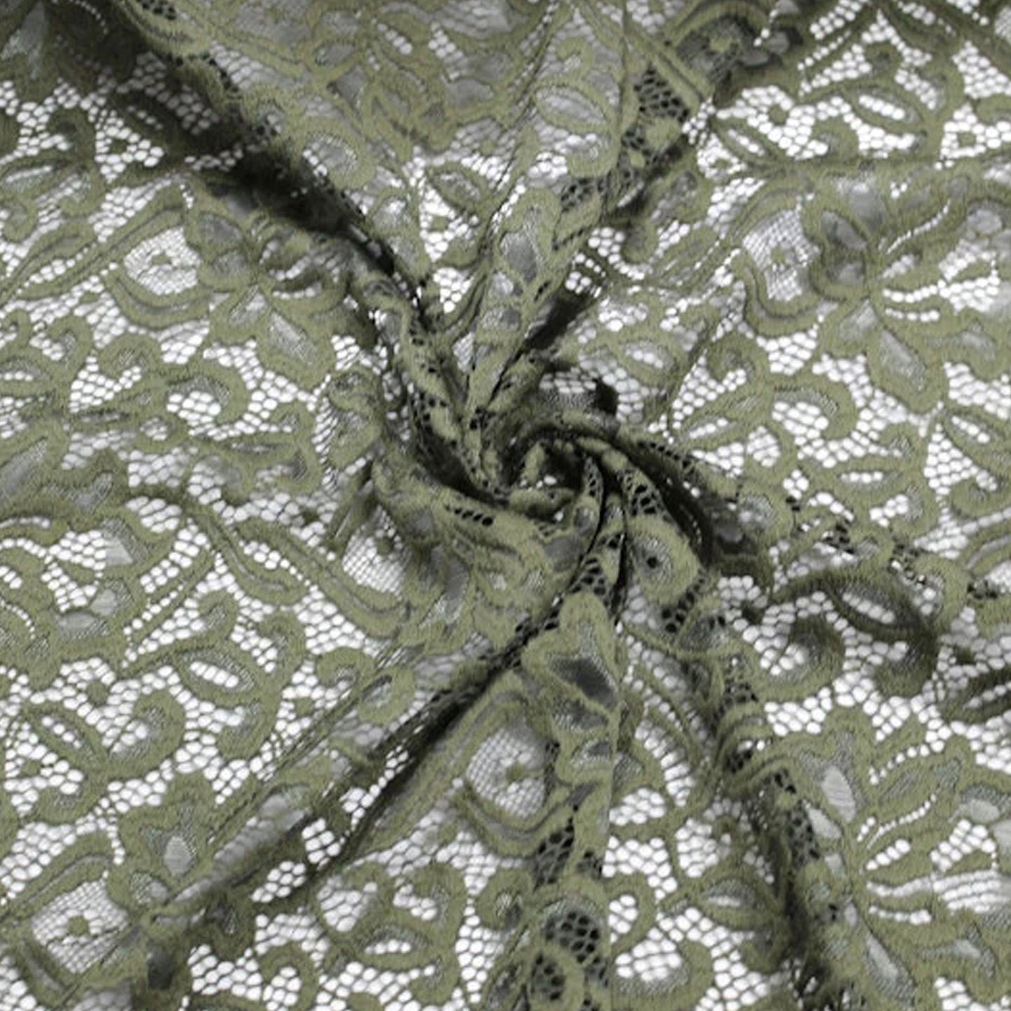 670-OLIVE-2