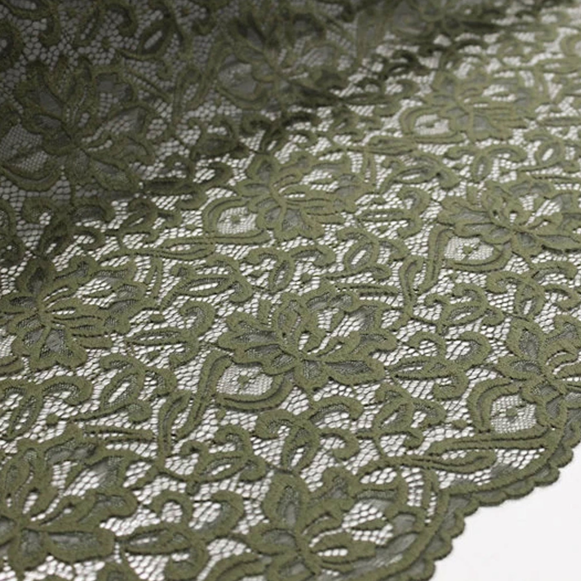 670-OLIVE-2