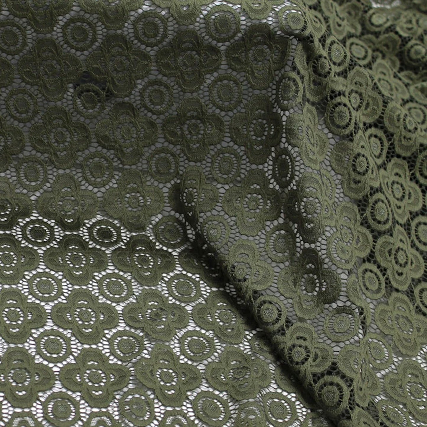 671-OLIVE