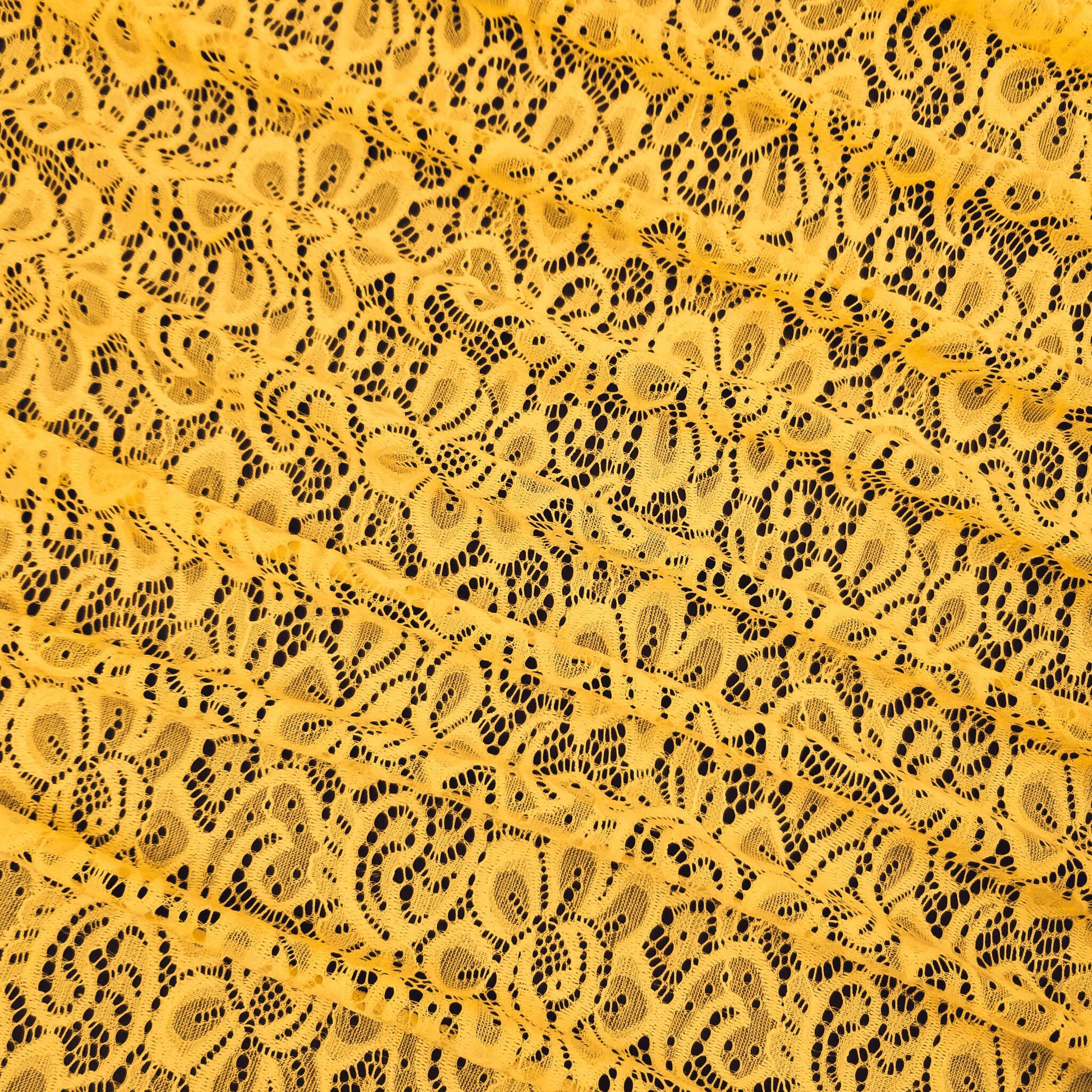 704-MUSTARD