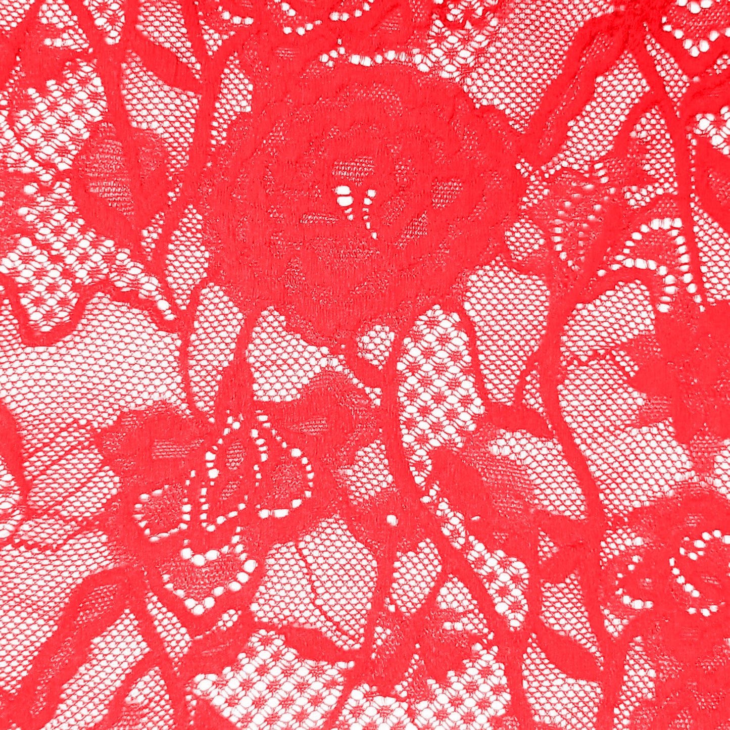 725-CORAL-CHIC-NEON