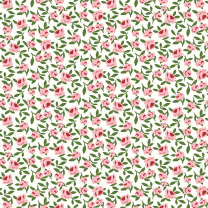 P-1717-668-OFFWHITE-PINK - PRINTED DTY 92% POLY 8% SPANDEX DTY DOUBLE SIDED BRUSH