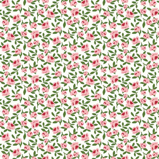 P-1717-668-OFFWHITE-PINK - PRINTED DTY 92% POLY 8% SPANDEX DTY DOUBLE SIDED BRUSH