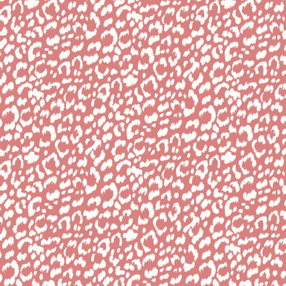 P-1851-788-CORAL-OFF-WHITE - PRINTED T/C SLUB 4X2 RIB 63% POLY 34% CTN 3% SPANDEX