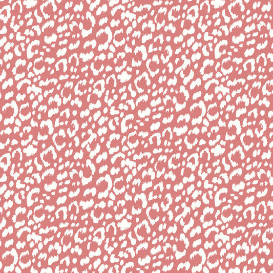 P-1851-788-CORAL-OFF-WHITE - PRINTED T/C SLUB 4X2 RIB 63% POLY 34% CTN 3% SPANDEX