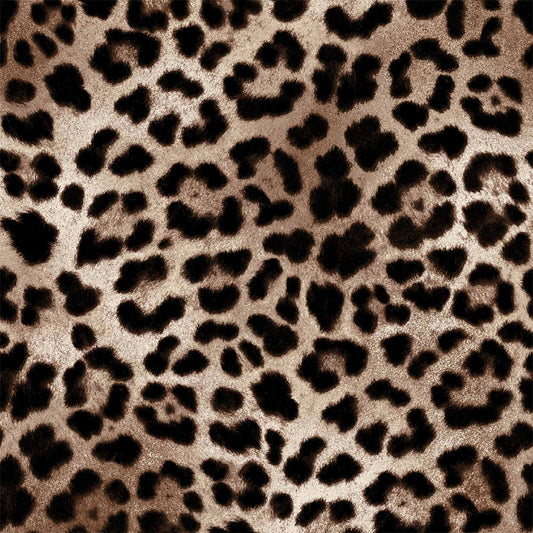 P-801-772-BLACK-CHOCO - 95% POLY 5% SPANDEX VELVET BURNT-OUT RIB